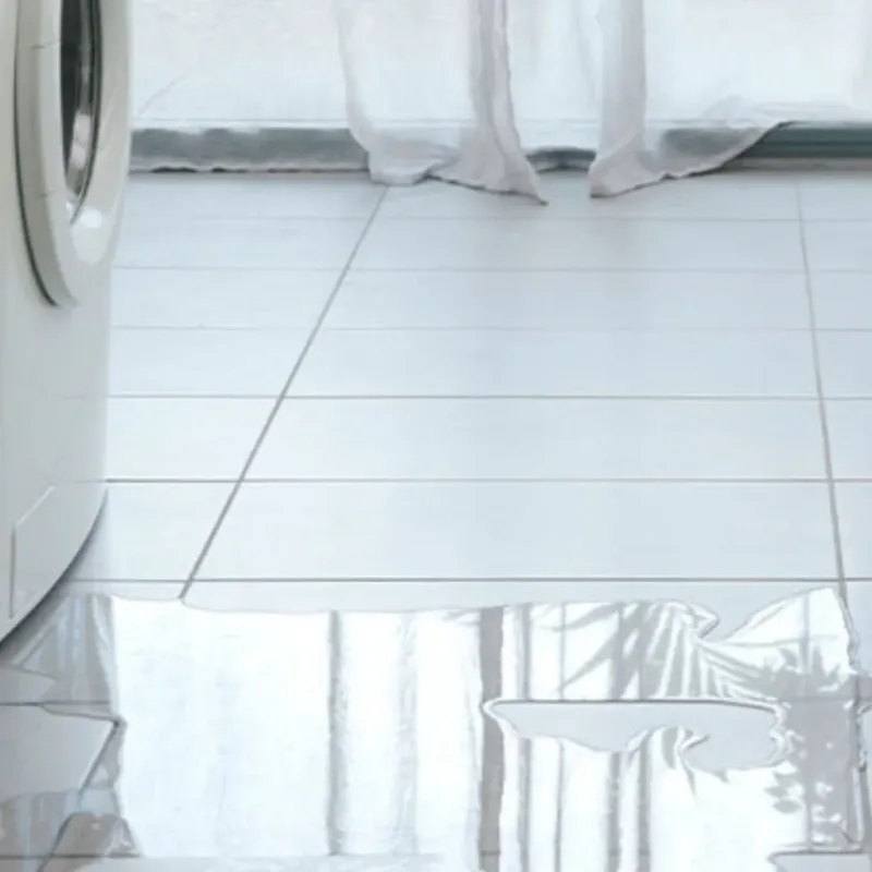 Appliance Leak Cleanup in Casselberry, FL